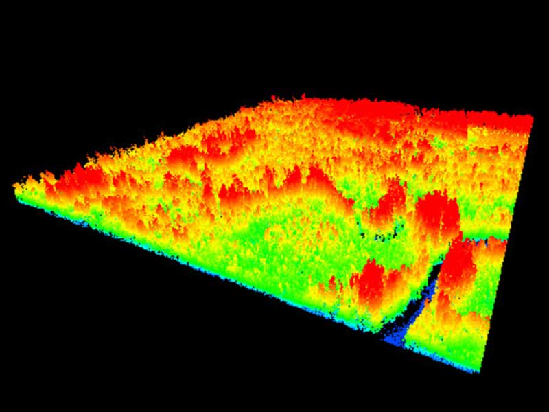 TDIS - Projet LIDAR Cameroun